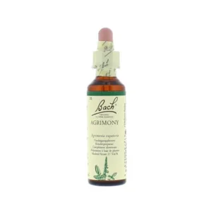 La fleur de Bach n° 1 : Agrimony – aigremoine