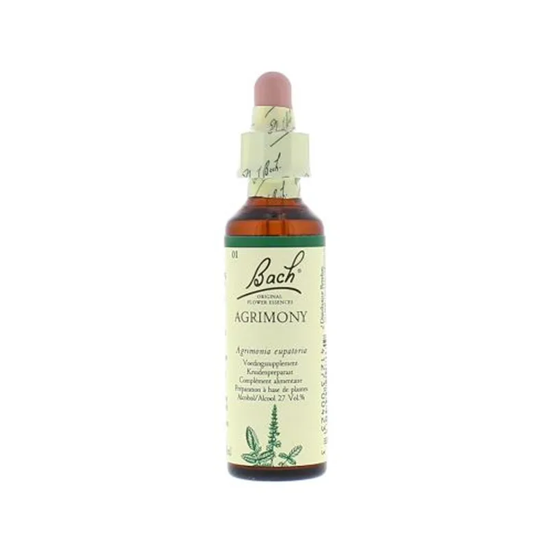 La fleur de Bach n° 1 : Agrimony – aigremoine