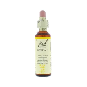 La fleur de Bach n° 12 : Gentian – gentiane