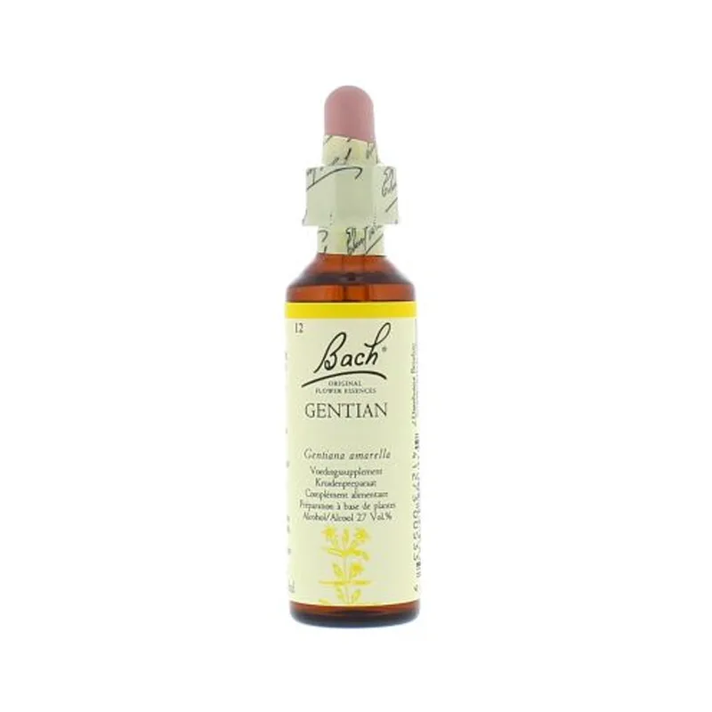 La fleur de Bach n° 12 : Gentian – gentiane