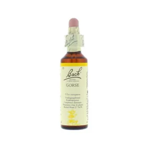 La fleur de Bach n° 13 _ Gorse – ajonc