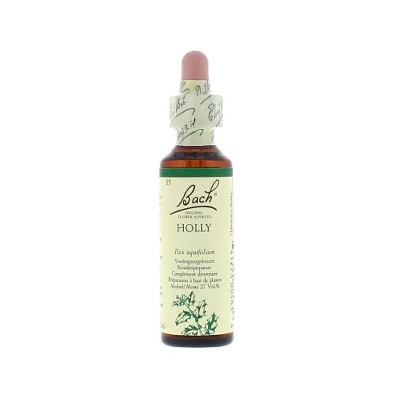 La fleur de Bach n° 15 _ Holly – houx