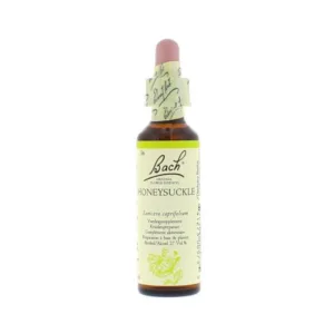 La fleur de Bach n° 16 _ Honeysuckle — chèvrefeuille_