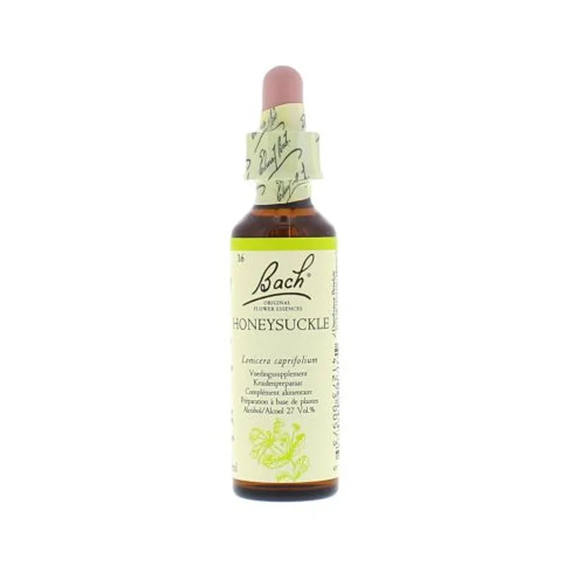 La fleur de Bach n° 16 _ Honeysuckle — chèvrefeuille_