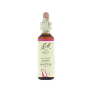 La fleur de Bach n° 19 _ Larch – mélèze