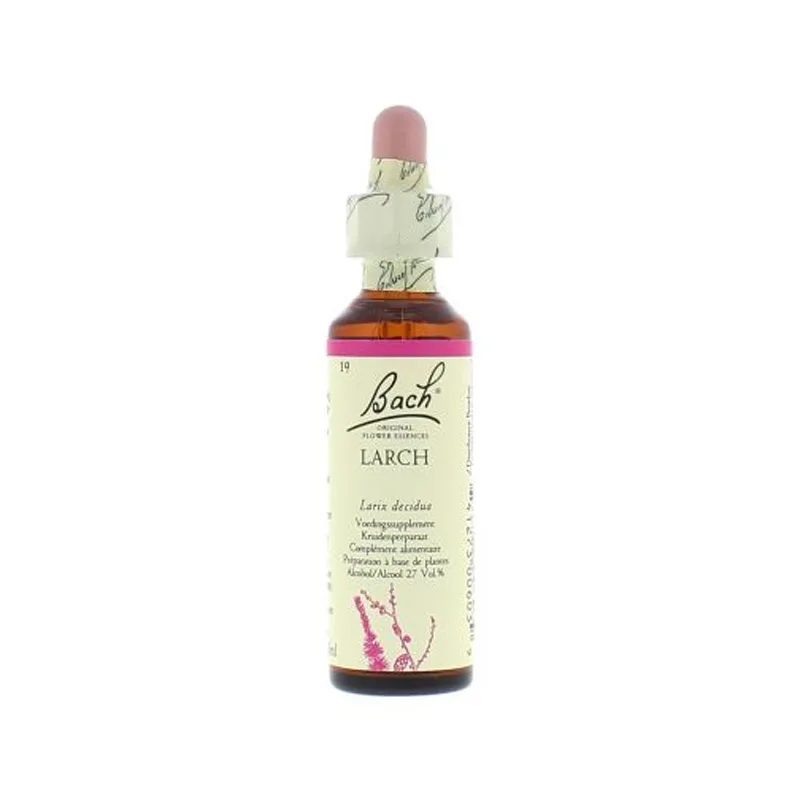La fleur de Bach n° 19 _ Larch – mélèze