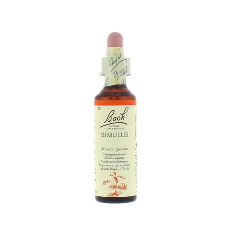La fleur de Bach n° 20 _ Mimulus – mimule