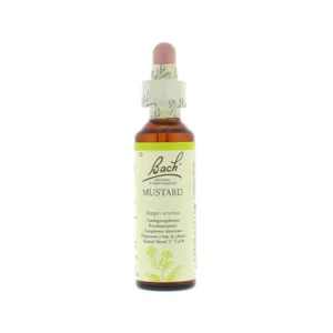 La fleur de Bach n° 21 _ Mustard – moutarde_