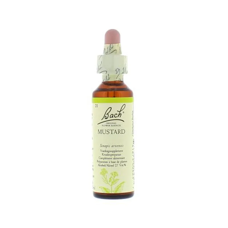 La fleur de Bach n° 21 _ Mustard – moutarde_