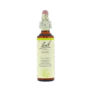 La fleur de Bach n° 23 _ Olive – olivier
