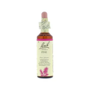 La fleur de Bach n° 24 _ Pine – pin sylvestre