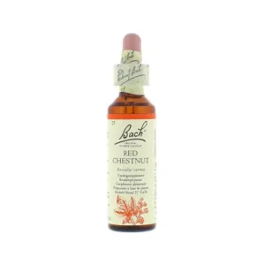 La fleur de Bach n° 25 _ Red Chestnut – marronnier rouge_