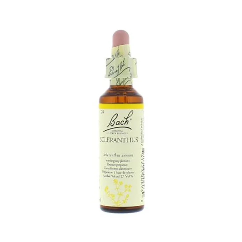 La fleur de Bach n° 28 _ Scleranthus – scléranthe
