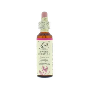 La fleur de Bach n° 30 _ Sweet Chestnut – châtaignier