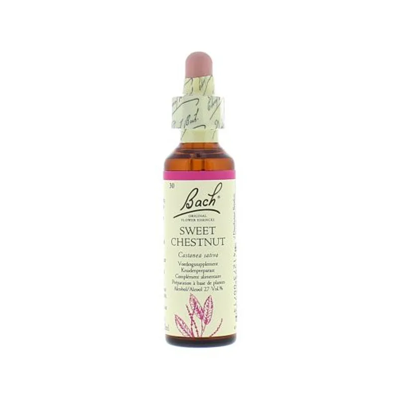La fleur de Bach n° 30 _ Sweet Chestnut – châtaignier