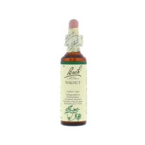La fleur de Bach n° 33 _ Walnut – noyer