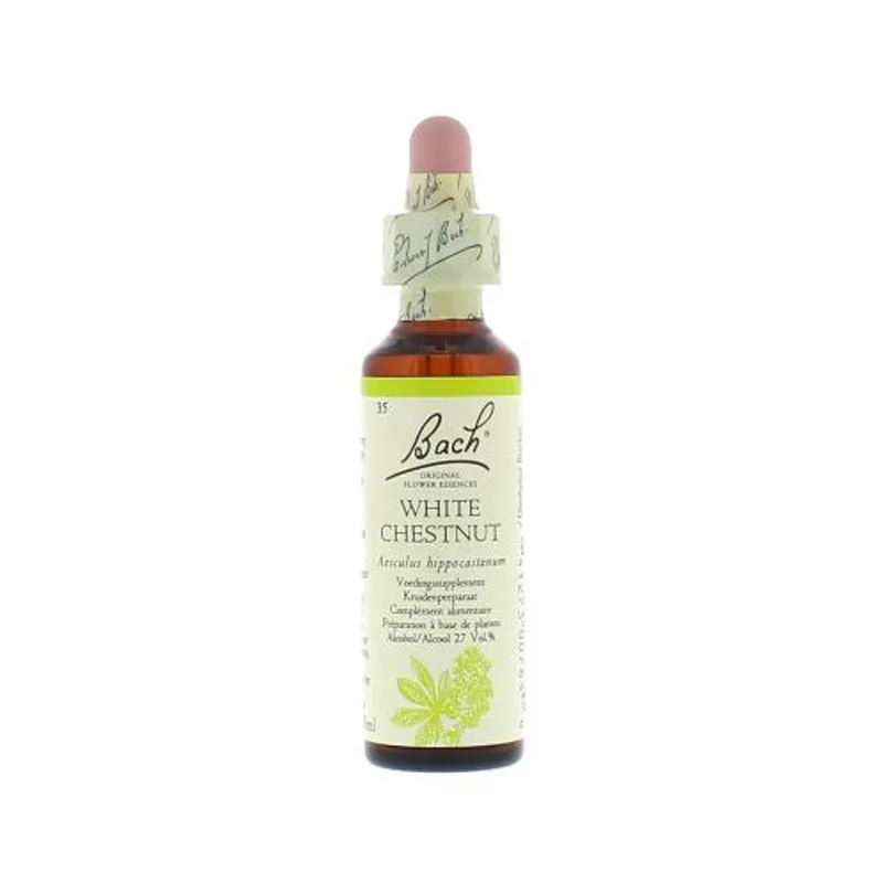 La fleur de Bach n° 35 _ White Chestnut – marronnier