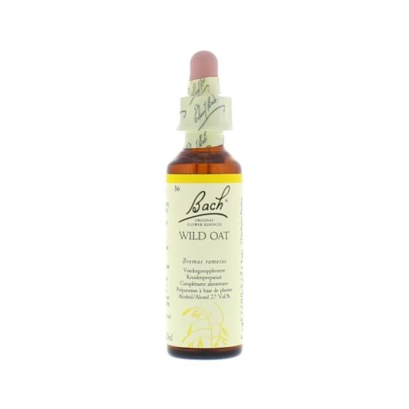 La fleur de Bach n° 36 _ Wild Oat – folle avoine ou avoine sauvage