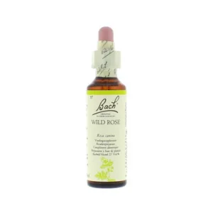 La fleur de Bach n° 37 _ Wild Rose – églantier
