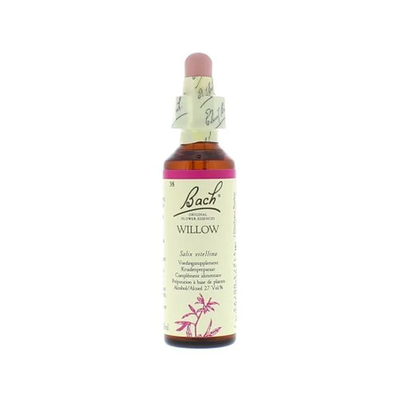 La fleur de Bach n° 38 _ Willow – saule