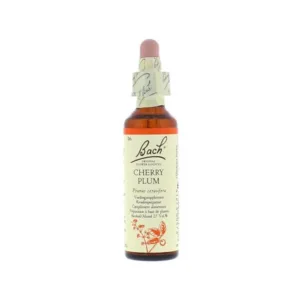 La fleur de Bach n° 6 : Cherry Plum — prunus — prunier myrobolan