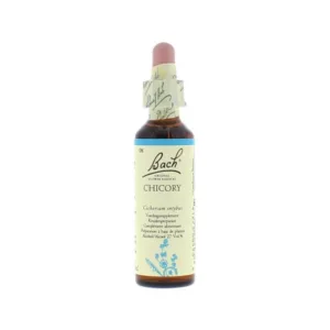 La fleur de Bach n° 8 : Chicory – chicorée