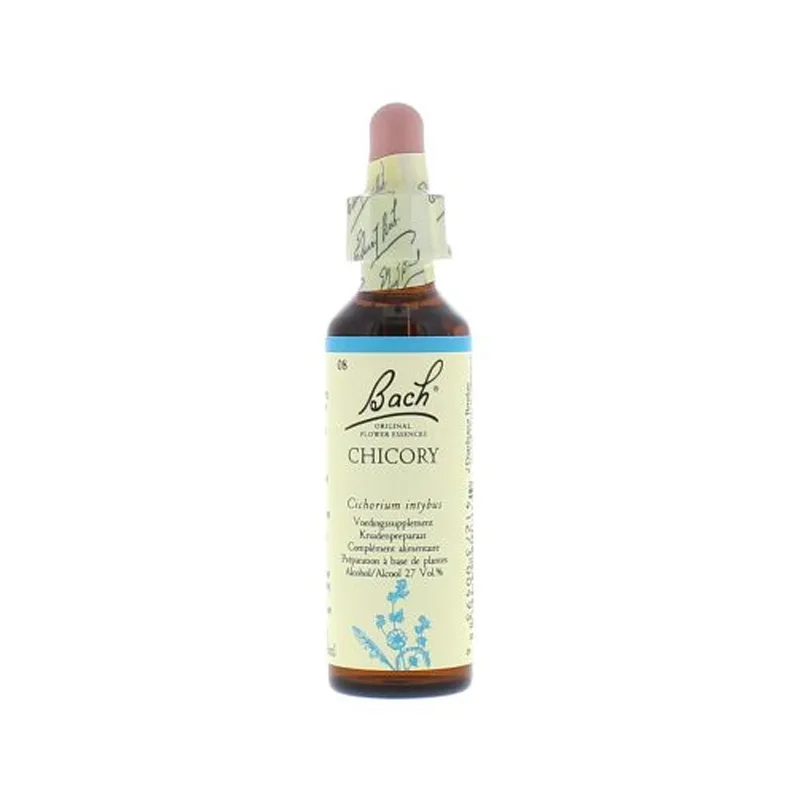 La fleur de Bach n° 8 : Chicory – chicorée