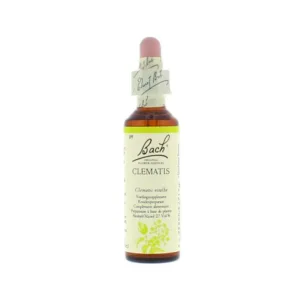 La fleur de Bach n° 9 : Clematis — clématite